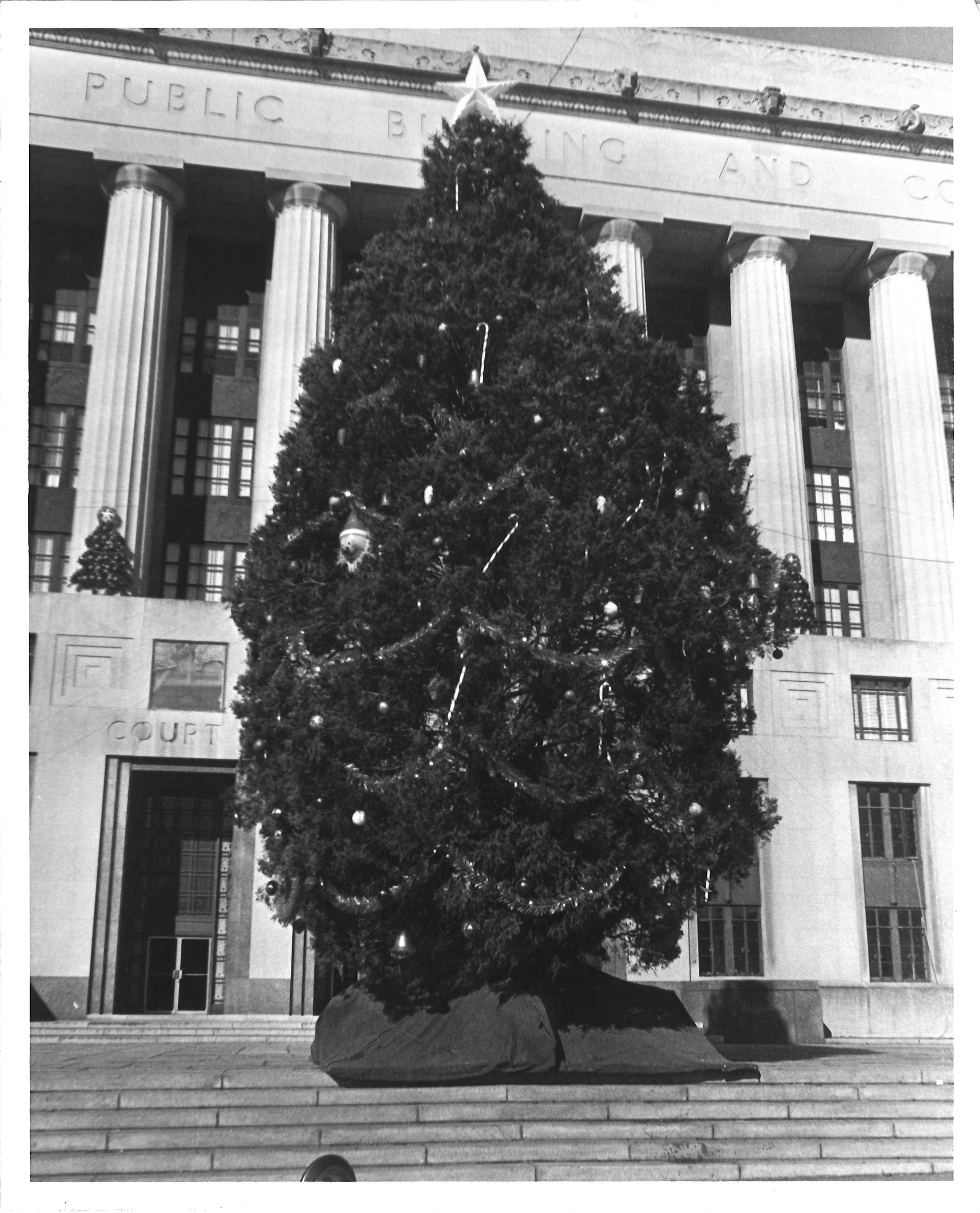 Metro Archives Collection - Photo of the courthouse Christmas tree in 1974