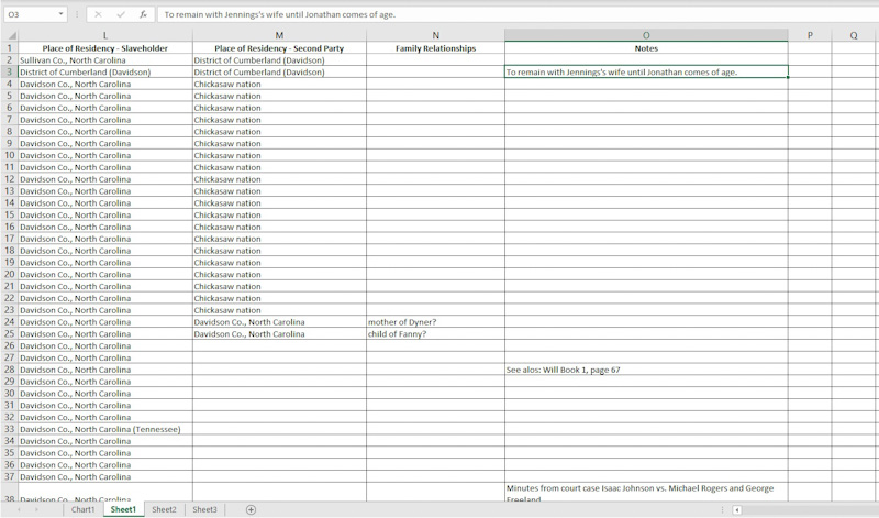 Excel Spreadsheet screenshot of Nashville Slave and Free People of Color Database
